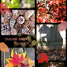 Autumn shapes... by marlboromaam