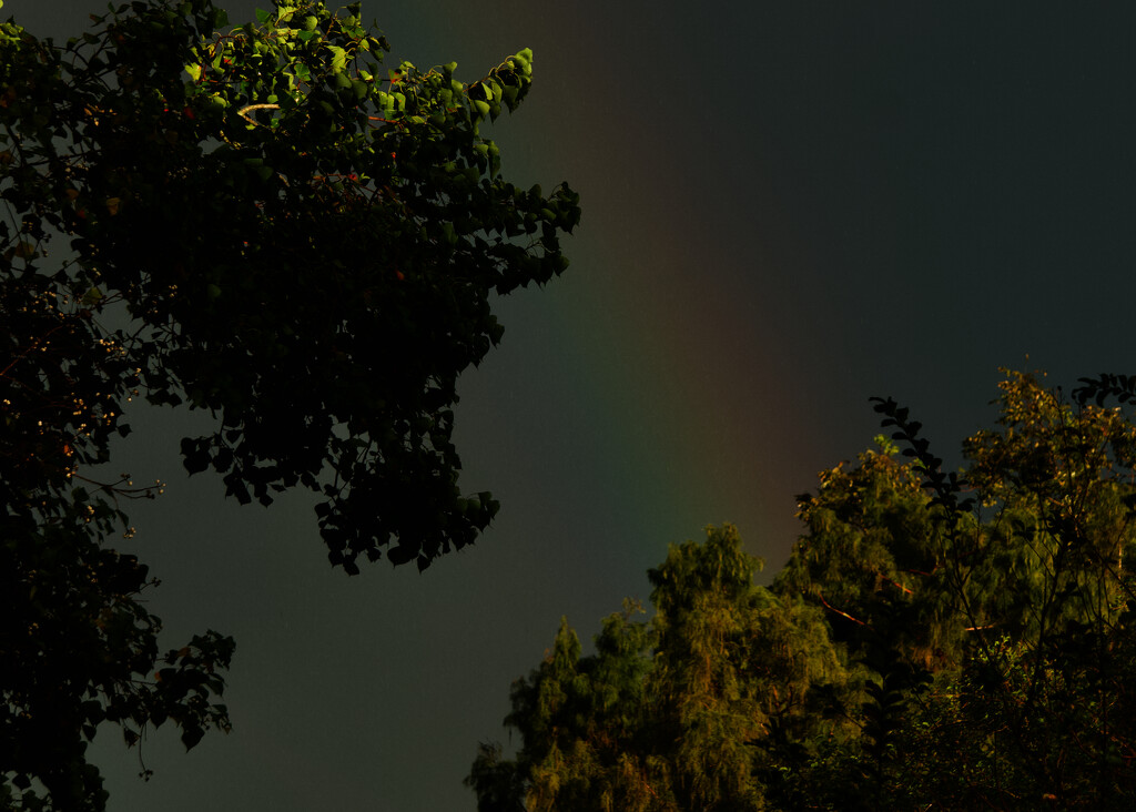 Instead, we got a rainbow by eudora