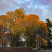 Autumn light by cristinaledesma33