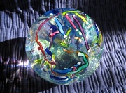 20th Feb 2010 - Look into my crystal ball