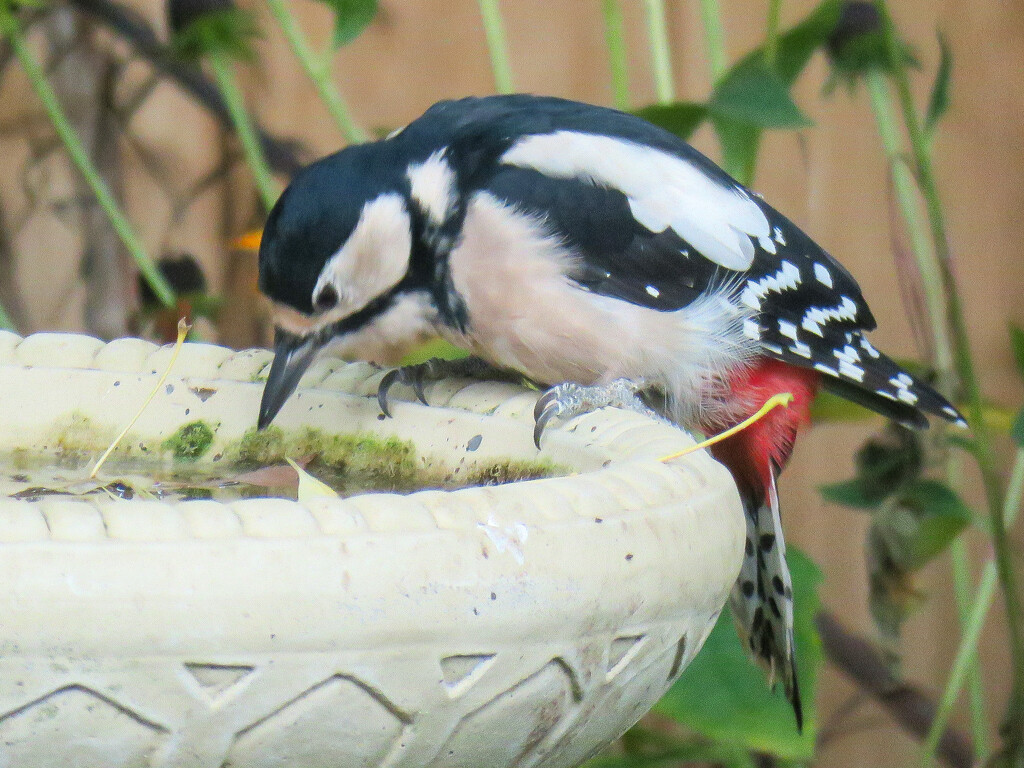 Thirsty Work by phil_sandford