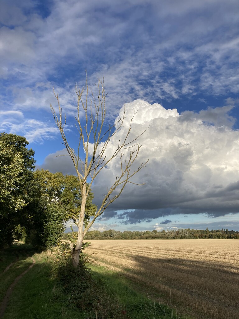 East Anglian Skyscape  by foxes37