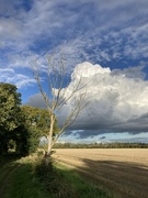 28th Oct 2021 - East Anglian Skyscape 