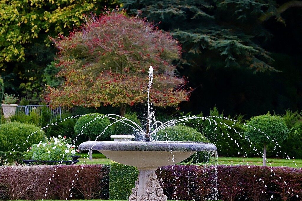 Fountain by carole_sandford