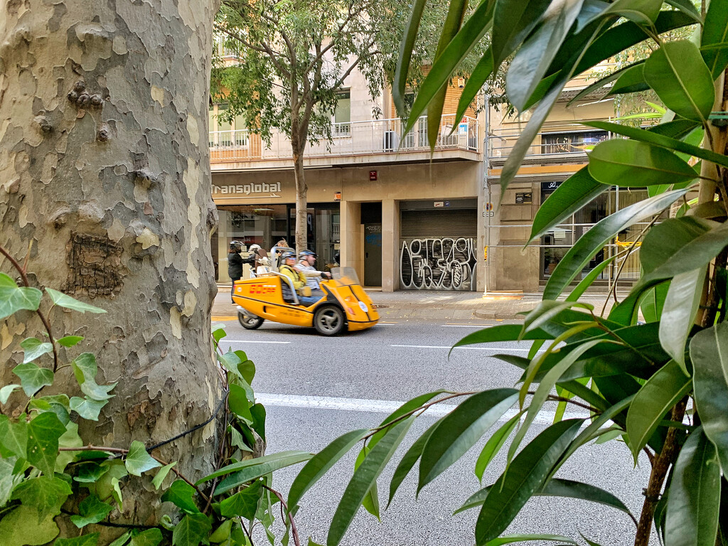 The tiny yellow car.  by cocobella