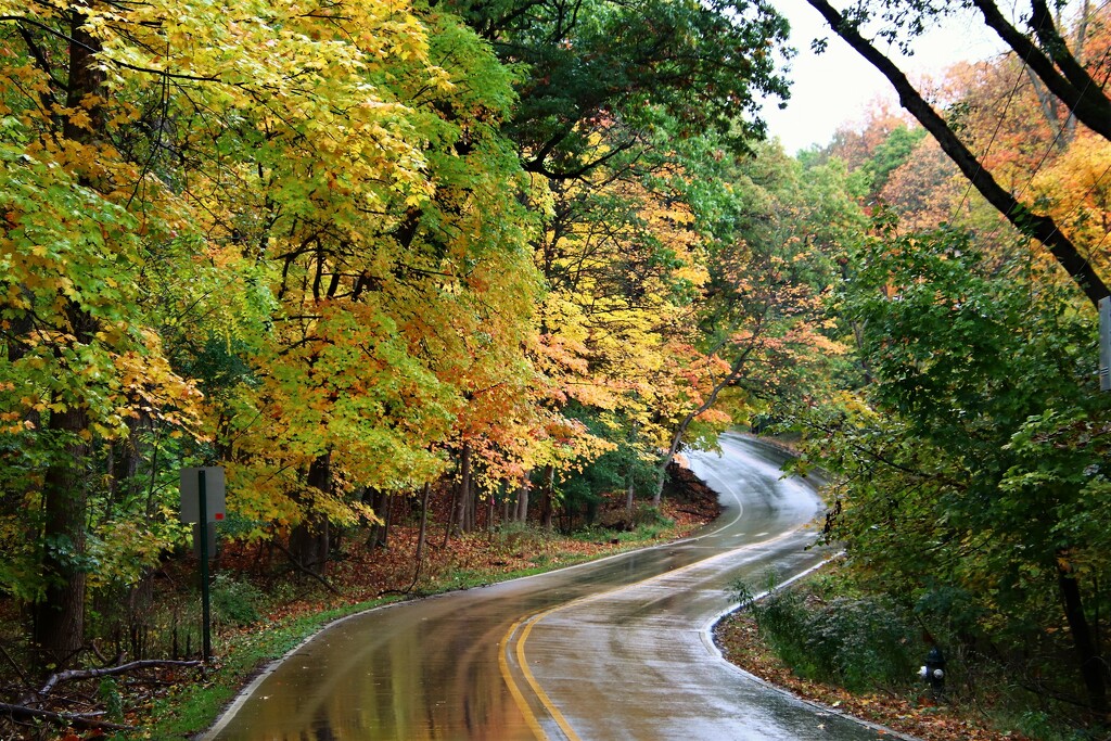 Wet Fall Road by randy23
