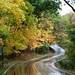 Wet Fall Road by randy23