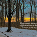 Dawn Run, Snowy Woods by jbritt