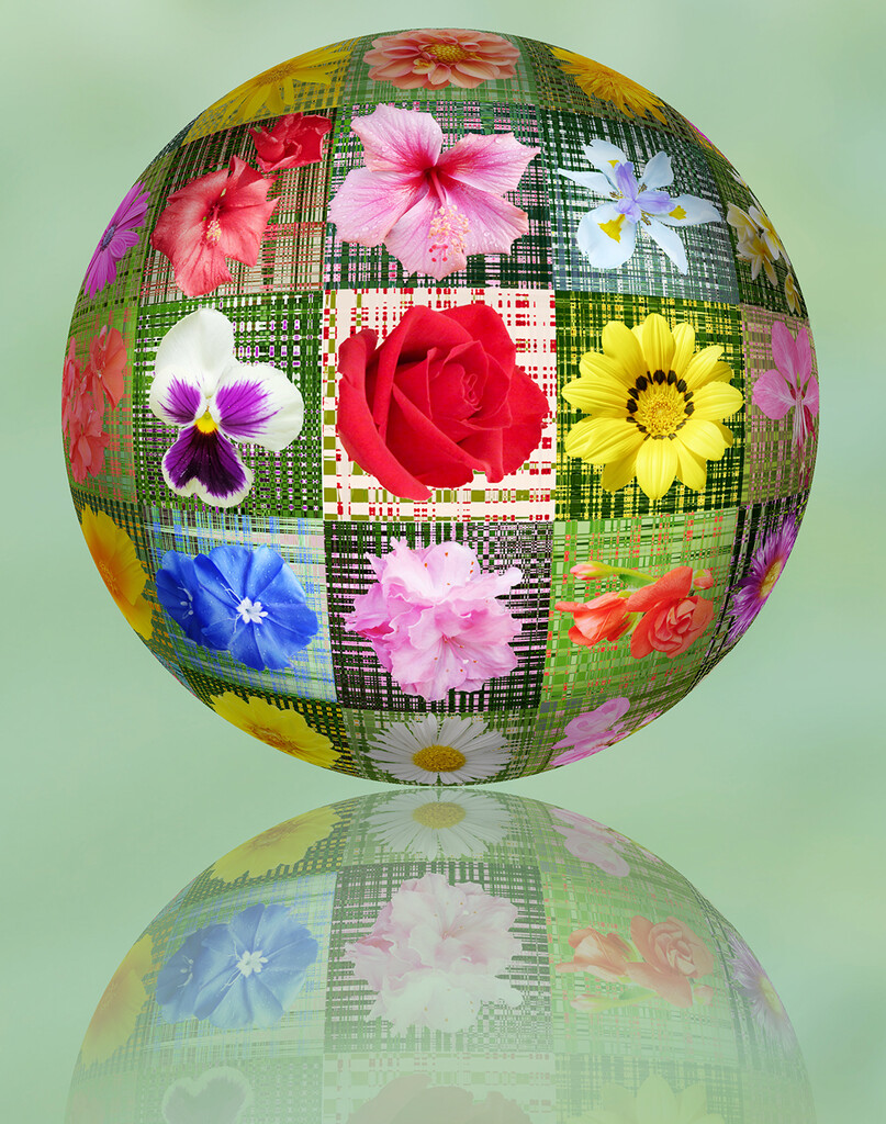 3D Flower Ball by onewing