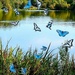 The Blue Flutterby Lake. by teresahodgkinson