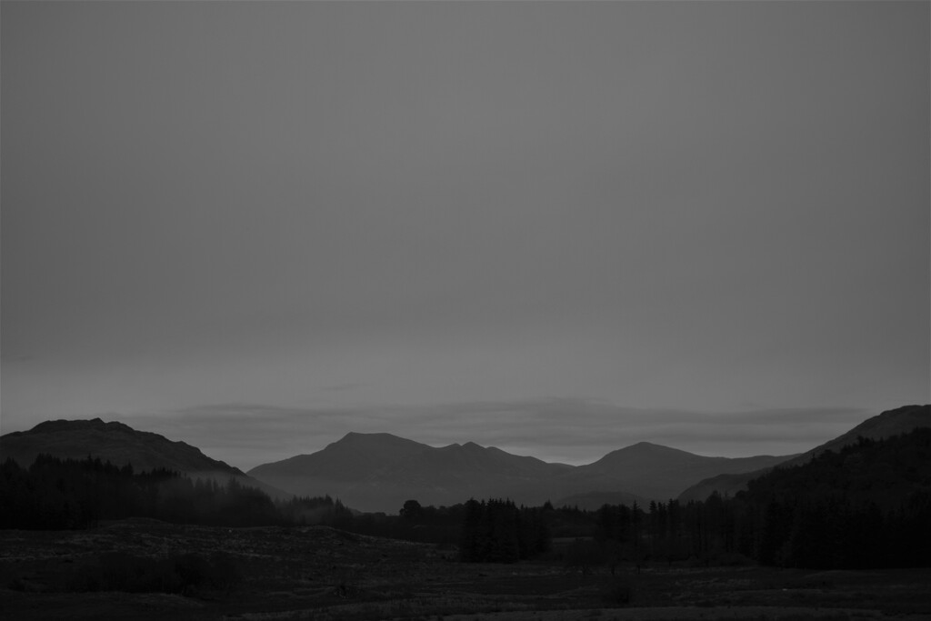 grey dawn by christophercox