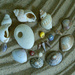 She sells sea shells on the sea shore... by jon_lip