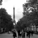 strolling in Paris  by parisouailleurs