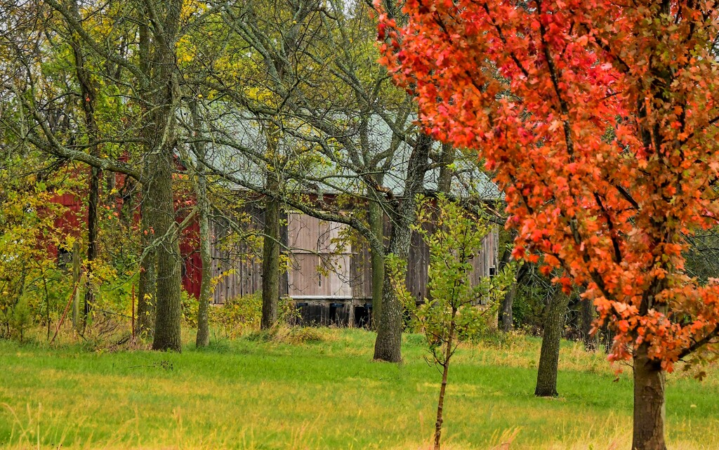 Autumn Barn Scene by kareenking