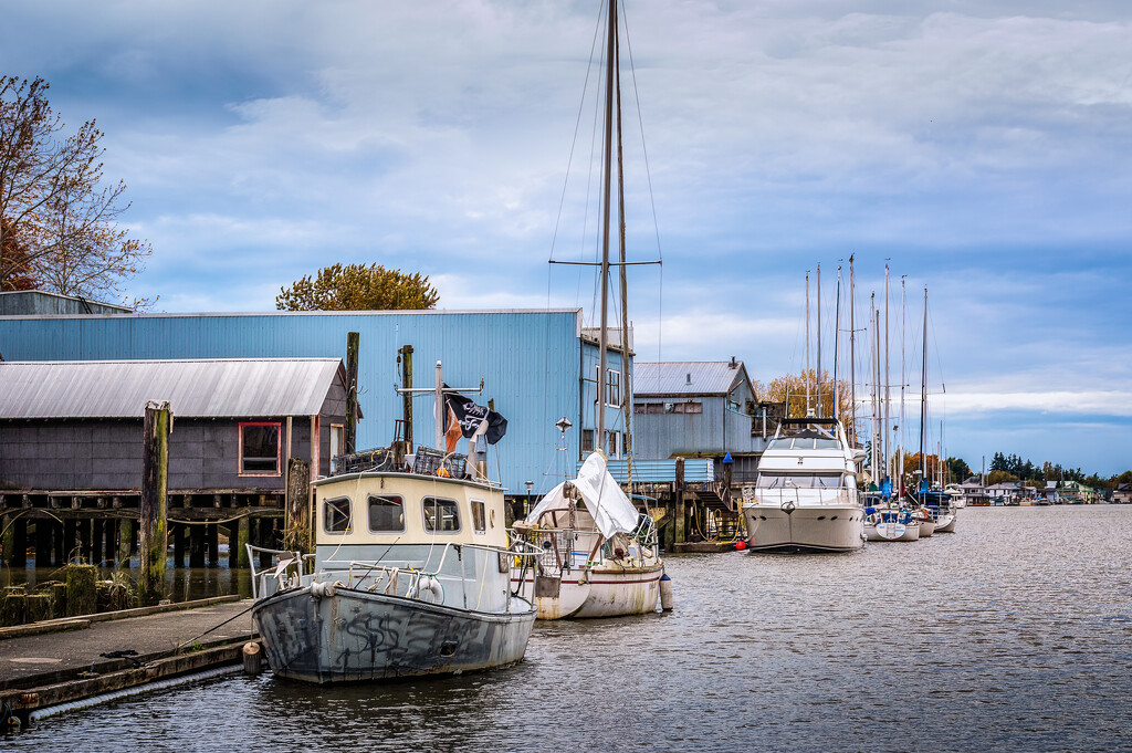 Ladner Harbour by cdcook48