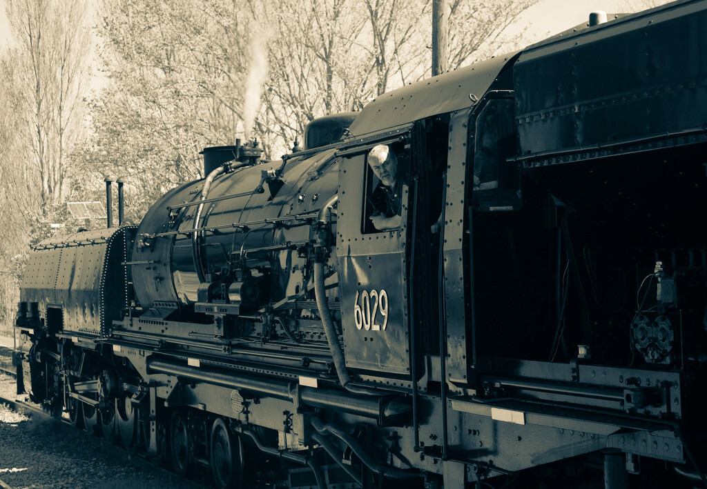 Locomotive 6029 ‘The Garratt’ -1 by annied
