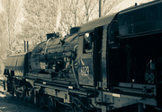 26th Sep 2019 - Locomotive 6029 ‘The Garratt’ -1
