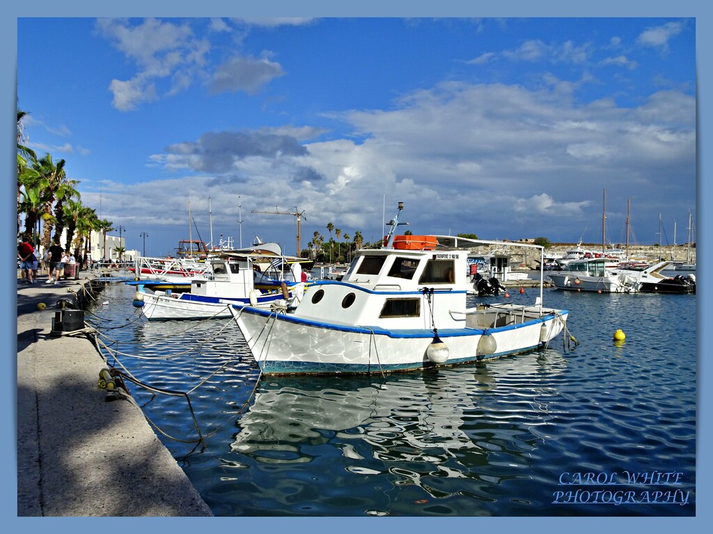 Fishing Boats,Kos Harbour by carolmw