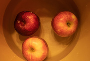 30th Oct 2021 - Bobbing for Apples