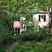 An old Charleston house tucked away behind a front garden by congaree