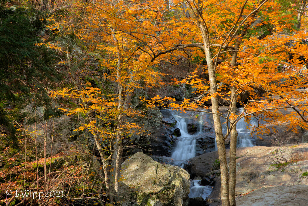 The Falls In Fall by lesip
