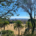 View of Barcelona from Parc Güell. by cocobella