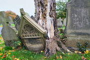 31st Oct 2021 - Cemetery
