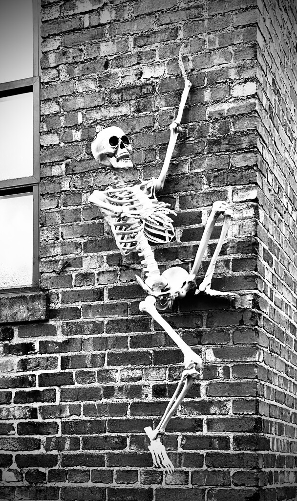 Skeleton Scaling the Wall by calm