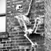 Skeleton Scaling the Wall by calm