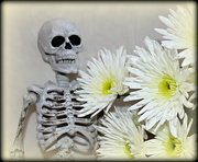 31st Oct 2021 - Take Time To Smell The Flowers .