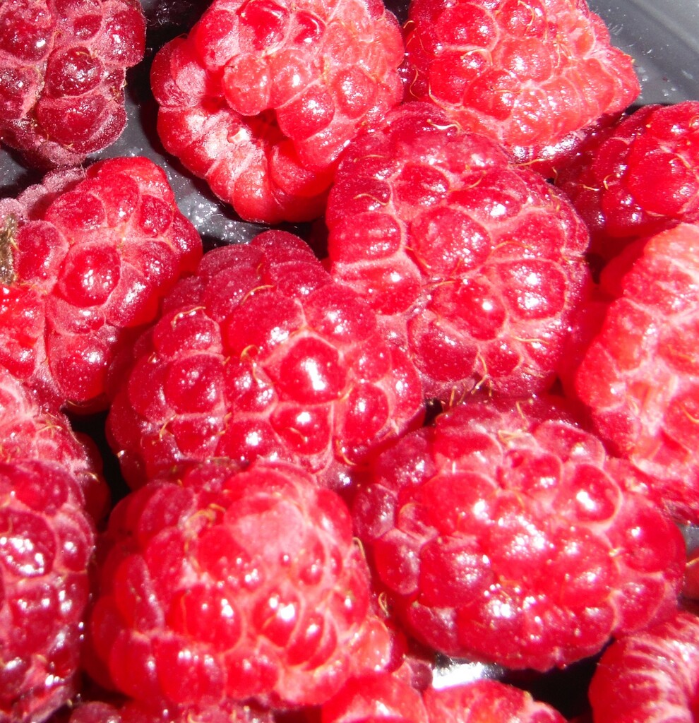 Red #3: Raspberries by spanishliz