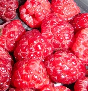 31st Oct 2021 - Red #3: Raspberries