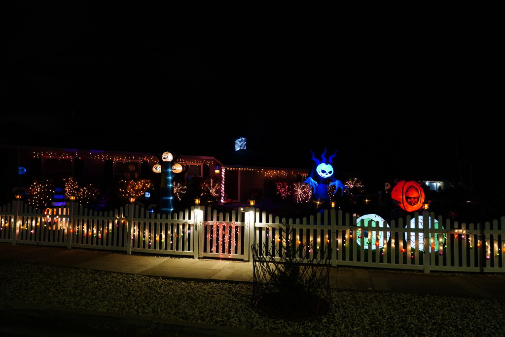 Halloween lights by acolyte