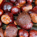 A Cluster of Conkers by 365projectmaxine