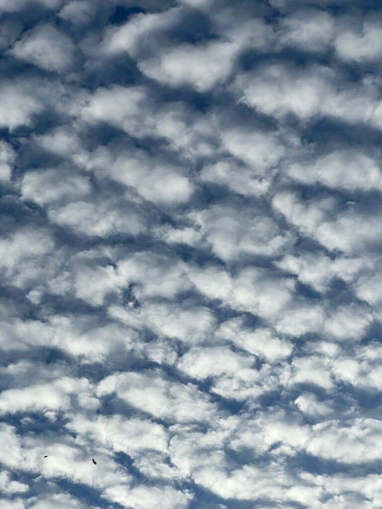 Popcorn Clouds - Patterns by shutterbug49