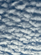 1st Nov 2021 - Popcorn Clouds - Patterns