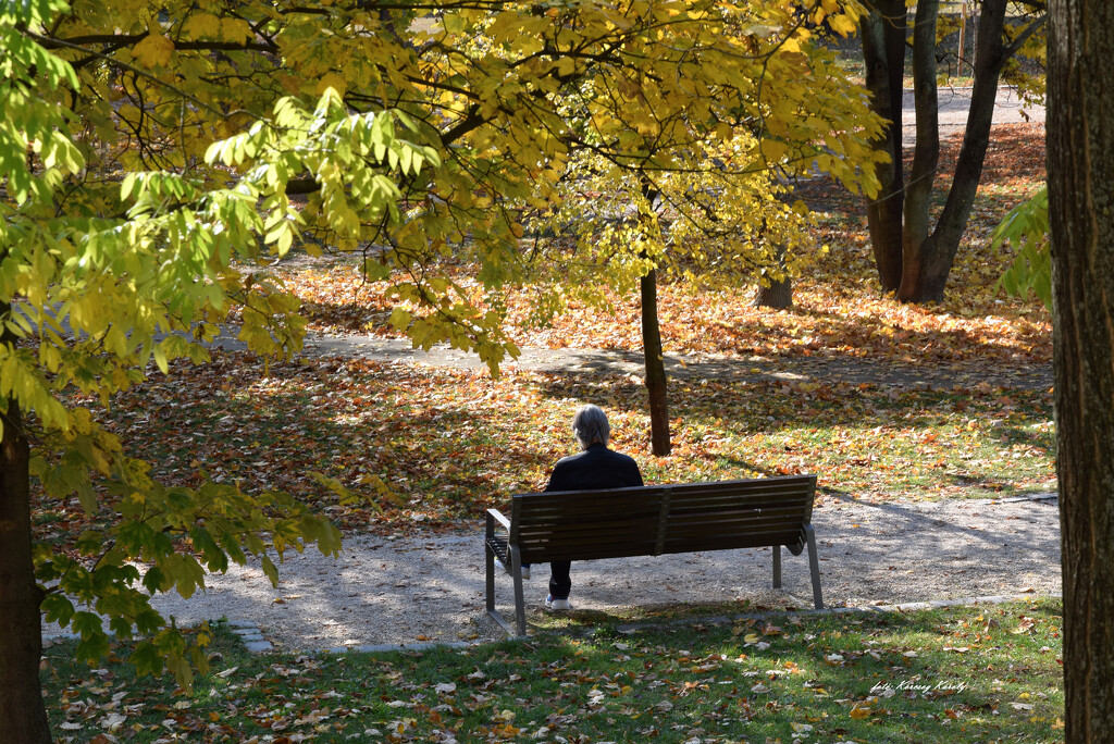 Autumn contemplation by kork