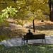 Autumn contemplation by kork