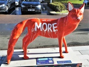 30th Oct 2021 - Fosse Park Foxes 22 We Are More
