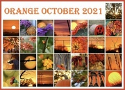 1st Nov 2021 - Orange October 2021