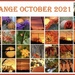Orange October 2021