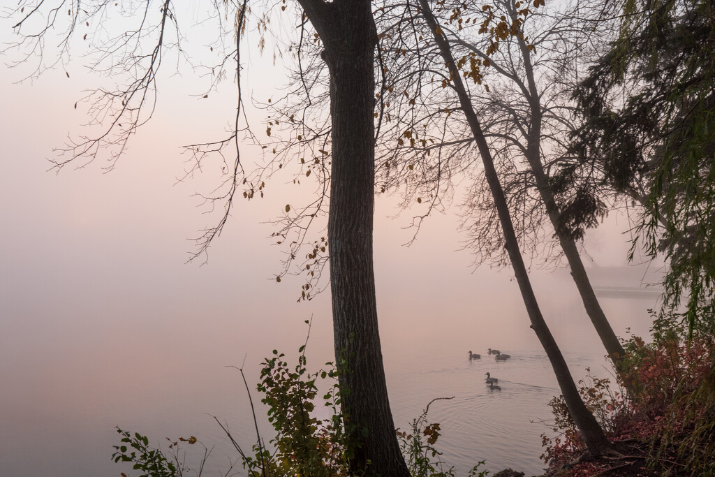 A Foggy Morning by tosee
