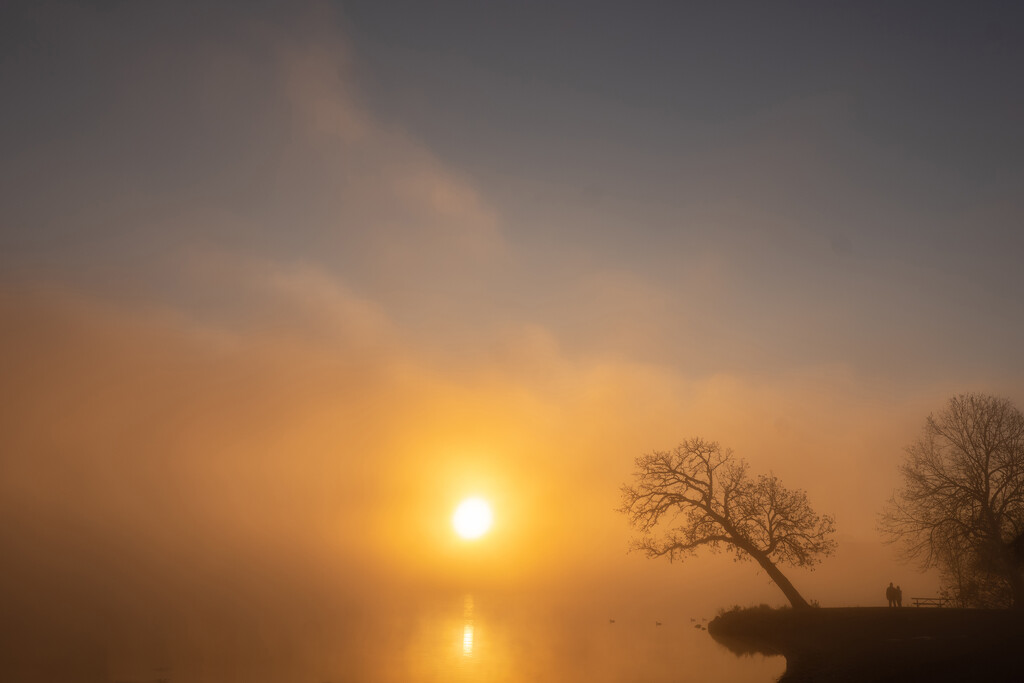 A Foggy Morning III by tosee