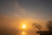 1st Nov 2021 - A Foggy Morning III