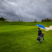 Golf in the Rain by cdcook48