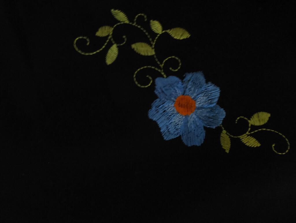 Flower (Low Key) by linnypinny