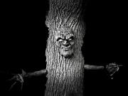 2nd Nov 2021 - Tree man