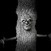 Tree man by sometimesbirds