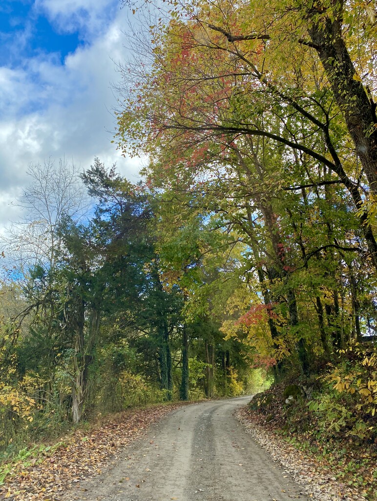 A Little Fall Color on a Country Road by calm