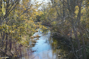 2nd Nov 2021 - The creek flows again